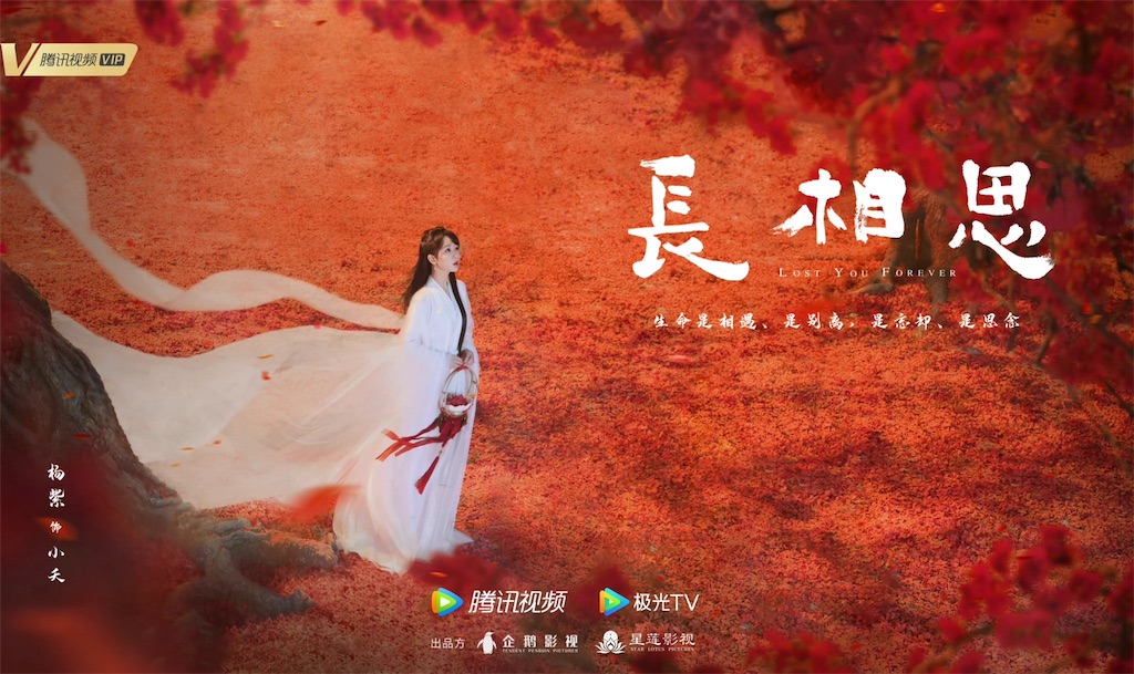 【中国ドラマ】『長相思』のあらすじを解説のワンシーン