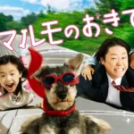 【ドラマ】『大切なことはすべて君が教えてくれた』キャスト・相関図とあらすじを解説のワンシーン
