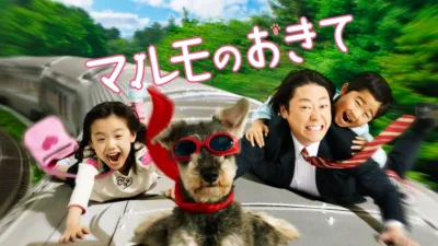 【ドラマ】『マルモのおきて』キャスト・相関図とあらすじを解説