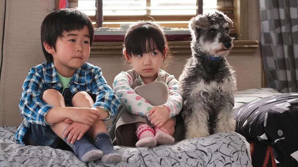 【ドラマ】『マルモのおきて』キャスト・相関図とあらすじを解説のワンシーン