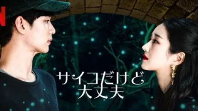 【韓国ドラマ】『サイコだけど大丈夫』キャスト・相関図・あらすじを解説