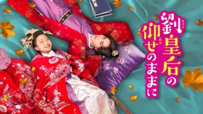 『劉皇后の仰せのままに』配信はどこ？主要プラットフォーム比較